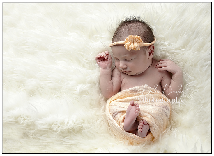 Suffolk county newborn photographer